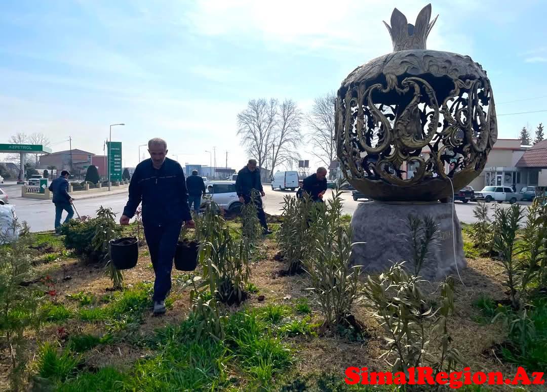 Göyçayda bayram günlərində yeni yaşıllıqların salınması işləri aparılır