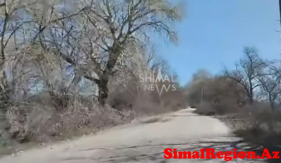 Qusarda bir neçə kəndin sakinləri çarəsiz durumda qalıb