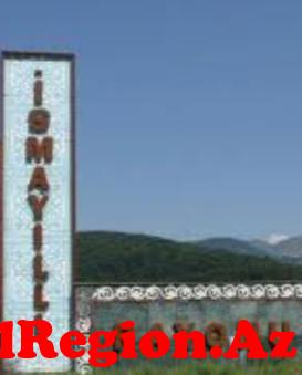 Sabiq ekoloq şok açıqlama etdi:Qəbələ və İsmayıllı meşələrində sənədsiz obyektlərə kimlər krışalıq edir:?