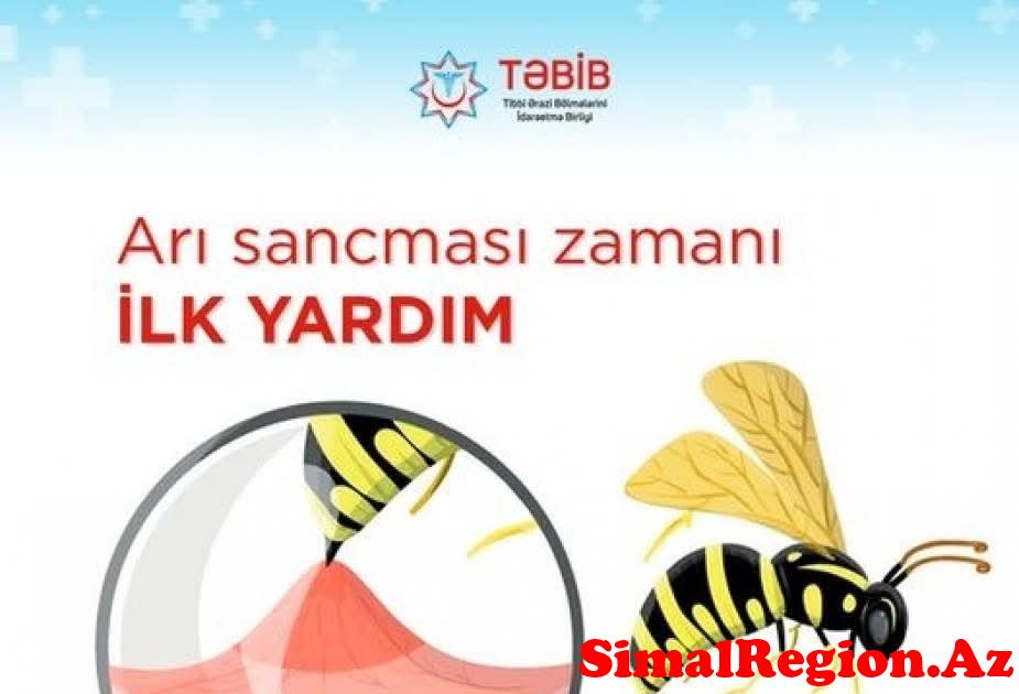 Təbib arı sancması ilə bağlı maarifləndirici müraciət etdi