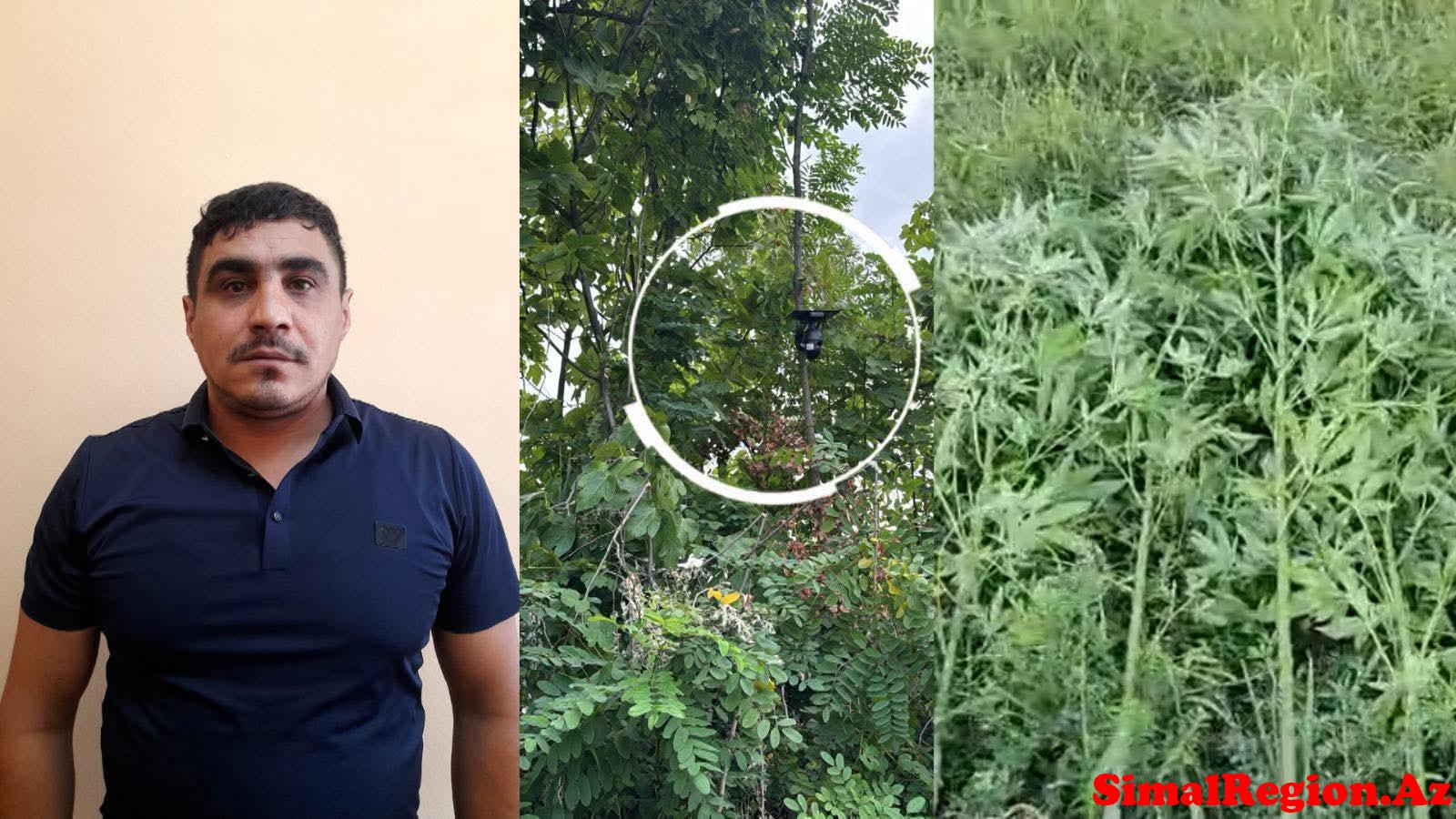 Göyçay polisi uğurlu əməliyyat keçirdi.Saxlanılan var