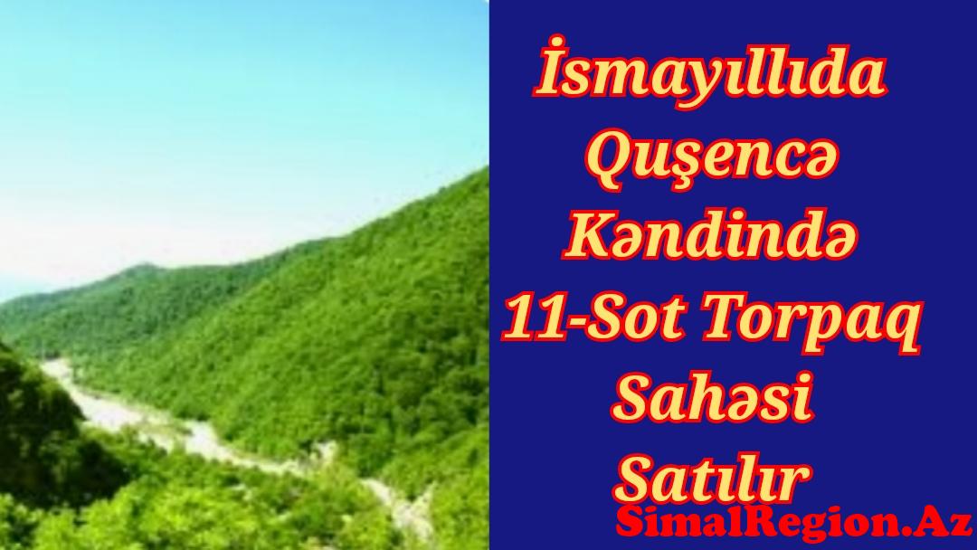 HƏR KƏS REKLAM VƏ ELANLARINI BİZİM SAYTIMIZ VASİTƏSİLƏ YAYIMLAYA BİLƏR