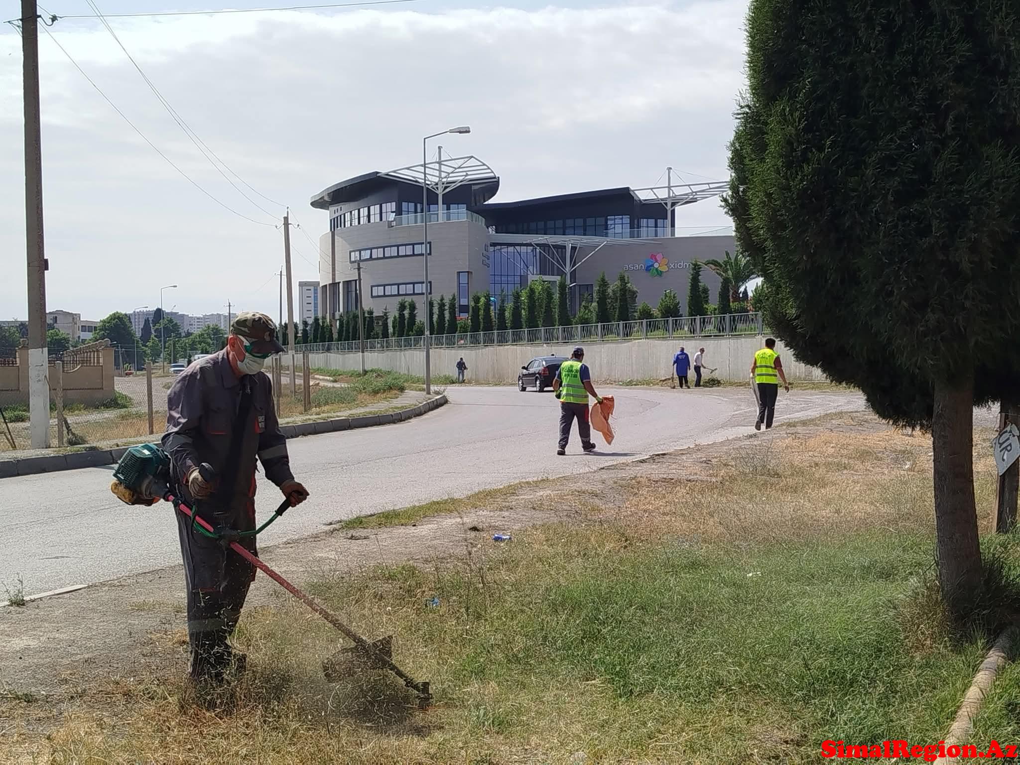 Gəncə şəhərində növbəti təmizlik aksiyası keçirilib